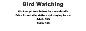 Bird Watching Click on picture below for more details Price for outside visitors not staying by us: Adult: R25 Child: R25